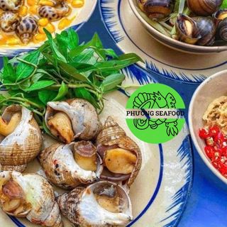 ỐC BULOT ĐỦ SIZE 10-20-30-50-80