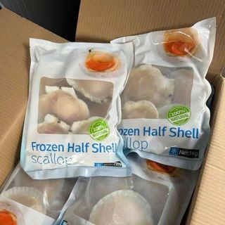 SÒ ĐIỆP NHẬT NỬA MẢNH ĐỦ SIZE ĐỦ LOẠI