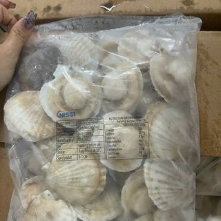 SÒ ĐIỆP NHẬT NỬA MẢNH ĐỦ SIZE ĐỦ LOẠI