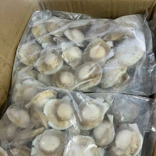 SÒ ĐIỆP NHẬT NỬA MẢNH ĐỦ SIZE ĐỦ LOẠI