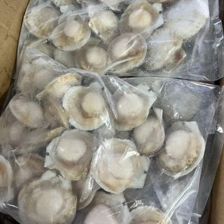SÒ ĐIỆP NHẬT NỬA MẢNH ĐỦ SIZE ĐỦ LOẠI