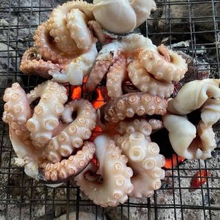 BẠCH TUỘC 2 DA 2-4-7 CON/KG