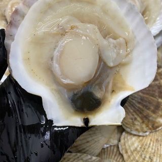 SÒ ĐIỆP NHẬT NGUYÊN CON