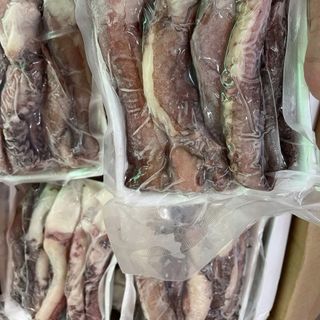 RÂU MỰC ĐẠI DƯƠNG