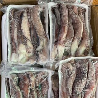 RÂU MỰC ĐẠI DƯƠNG
