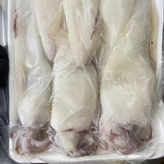 MỰC ỐNG ĐỦ LOẠI ĐỦ SIZE