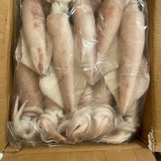 MỰC ỐNG ĐỦ LOẠI ĐỦ SIZE