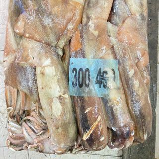 MỰC ỐNG ĐỦ LOẠI ĐỦ SIZE