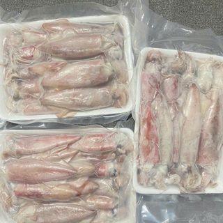 MỰC ỐNG ĐỦ LOẠI ĐỦ SIZE