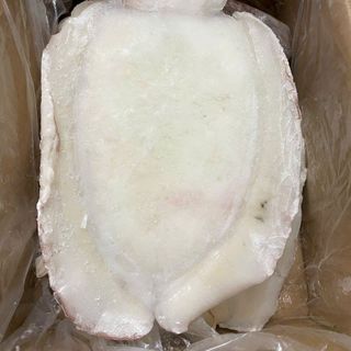 MỰC NANG