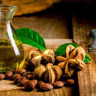 Tác Động Sâu Của Dầu Sachi Đối Với Làn Da Của Bạn