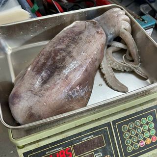 MỰC LÁ CUỘN