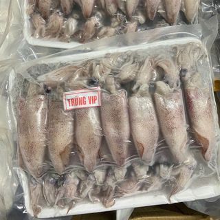 MỰC TRỨNG 16-20 giá sỉ