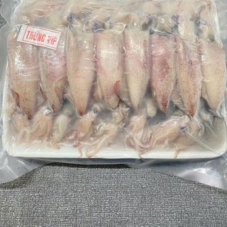 MỰC TRỨNG 16-20