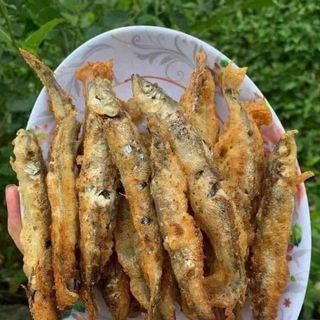 CÁ TRỨNG 100% TRỨNG