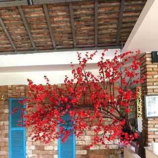 HOA GIẢ - CÀNH HOA ANH ĐÀO CAO CẤP