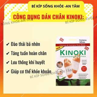 HỘP 10 MIẾNG DÁN CHÂN THẢI ĐỘC KINOKI