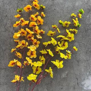 CÀNH HOA ANH ĐÀO GIÁ RẺ