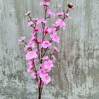 CÀNH HOA ANH ĐÀO GIÁ RẺ