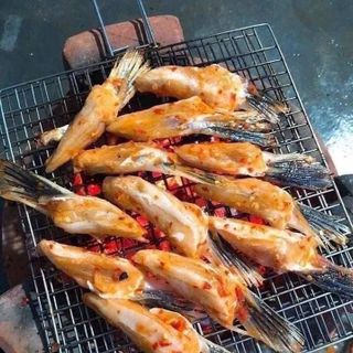 VÂY CÁ HỒI
