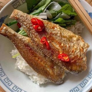 CÁ ĐÙ 1 NẮNG