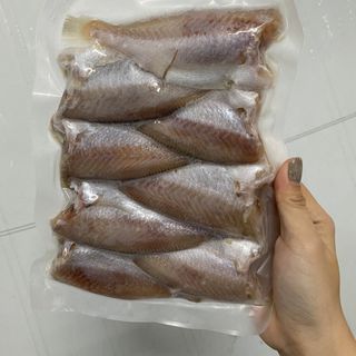 CÁ ĐÙ 1 NẮNG