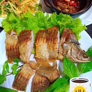CÁ THÁT LÁT RÚT XƯƠNG 1 CON
