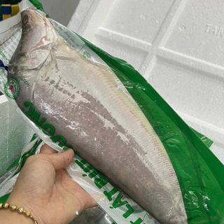 CÁ THÁT LÁT RÚT XƯƠNG 1 CON
