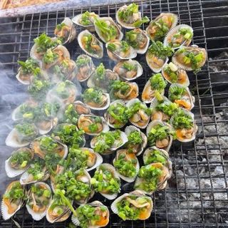SÒ LÔNG NỬA MẢNH