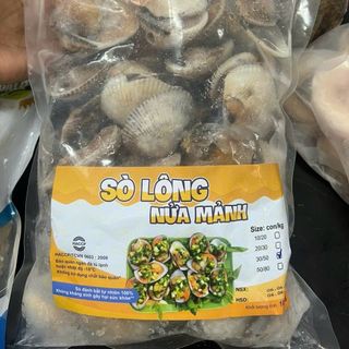 SÒ LÔNG NỬA MẢNH