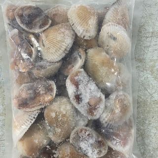SÒ LÔNG NỬA MẢNH