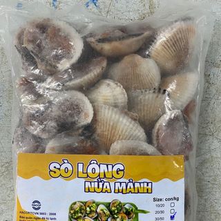 SÒ LÔNG NỬA MẢNH