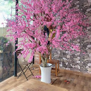 Sỉ Cành Hoa Anh Đào Dài 1m