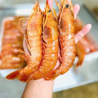 TÔM ĐỎ 10-20CON/KG