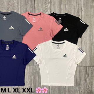 Áo croptop thun poly , thoáng mát, trơn láng, co giãn thoải mái - Size : M L Xl XXL Ri 2222 Tách nửa ri được - 5 màu Sẵn kho