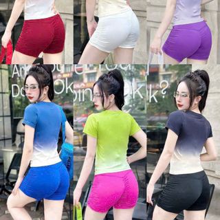 Áo thun nữ Quảng Châu - Size : M L - 6 màu -Sẵn kho