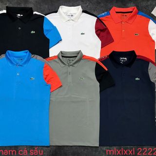 Áo cổ nam cá sấu Chất liệu: thun cá sấu Size: M.L.XL.XXL Ri: 2222