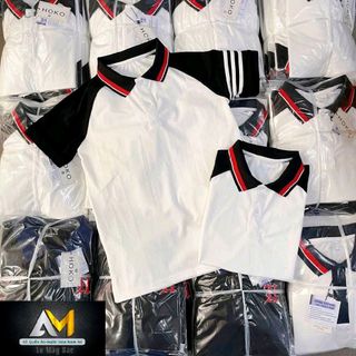 Áo thun cổ trụ phối màu kiểu polo