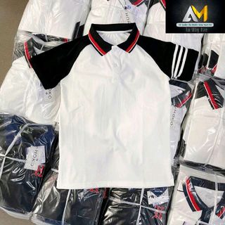 Áo thun cổ trụ phối màu kiểu polo