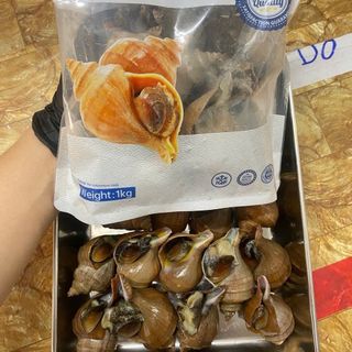 ỐC XOẮN NHẬT