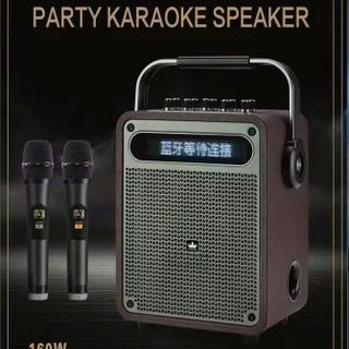 Loa Karaoke Kingone K11