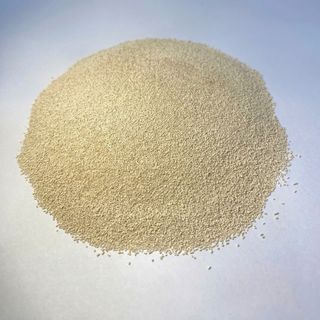 ✅ SACCHAROMYCES CEREVISIAE (THT) – GIẢI PHÁP VI SINH CHO AO NUÔI HIỆU QUẢ!