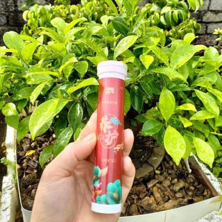 Vitamin hữu cơ tan chậm