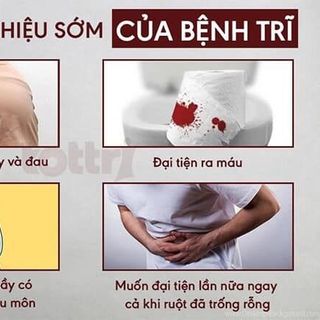 Viên Uống BÁCH ANTRI - Hỗ Trợ Nhuận Tràng, Hỗ Trợ Giảm Nguy Cơ Bị Trĩ, Táo Bón