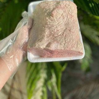 VÚ HEO LOẠI 1