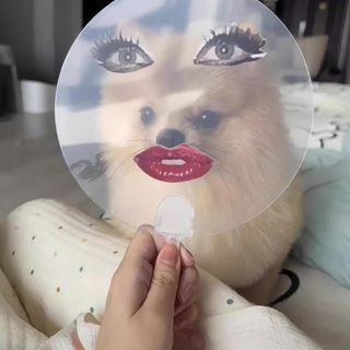 QUẠT CẦM TAY FILTER