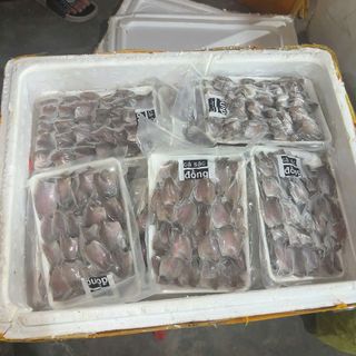 Cá sặc đồng 1 nắng - khay 500g