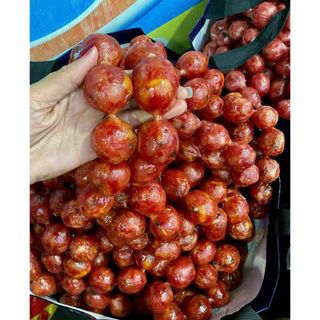 LẠP XƯỞNG HỒ LÔ TRỨNG MUỐI
