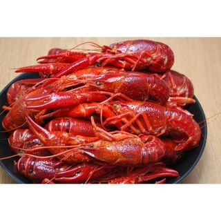 Tôm hùm đất/ tôm Crawfish nhập khẩu bịch 2.5kg(giao HỎA TỐC)