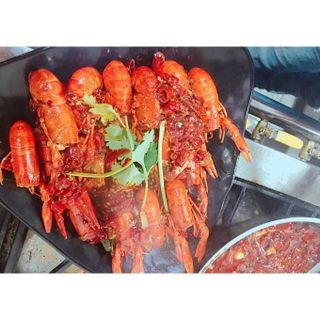 Tôm hùm đất/ tôm Crawfish nhập khẩu bịch 2.5kg(giao HỎA TỐC)
